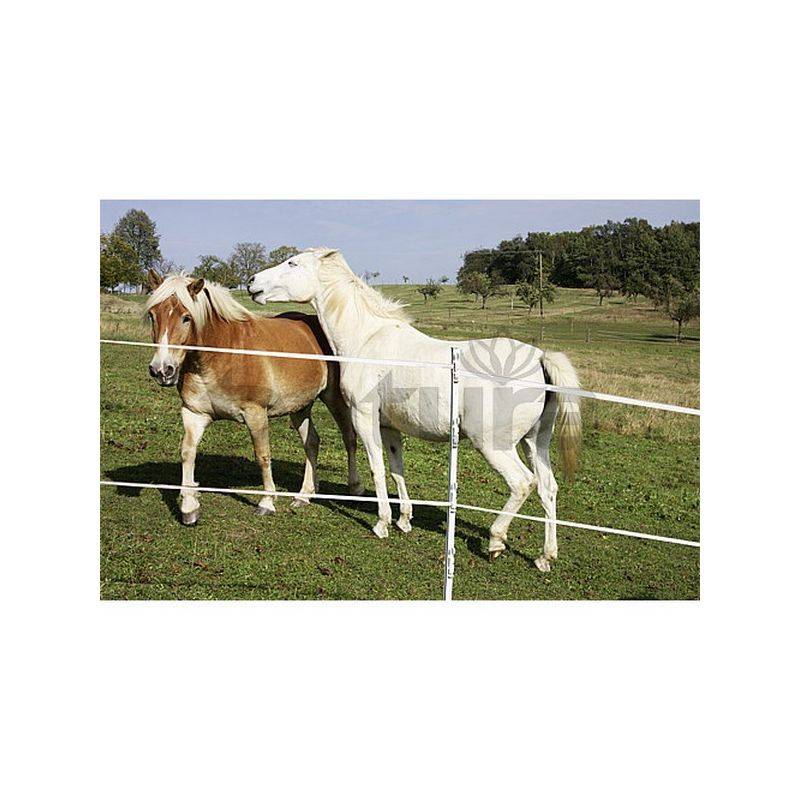 El pastor eléctrico en el cercado para caballos - Le Galop