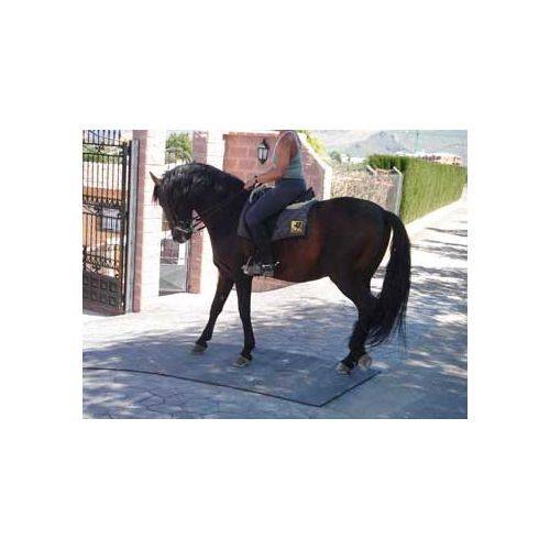 Rollo Goma 1 X 125 X 600 Cm