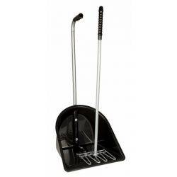 Limpieza de la Cuadra