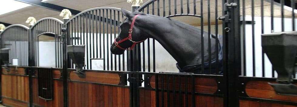 Comederos para Caballos
