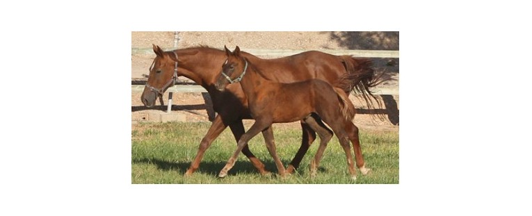Agrobroker Participa en Cursos de la AEAA