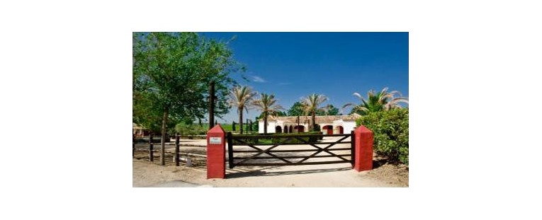 Centro ecuestre Los Quintos en instalaciones de Agrobroker