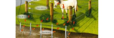 El pastor eléctrico en el cercado para caballos