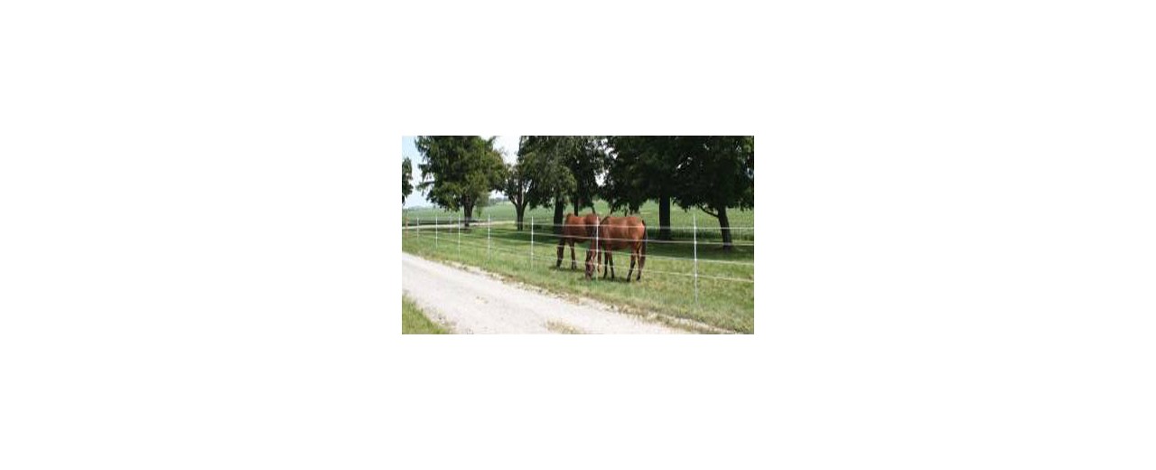 Montaje de una cerca electrica