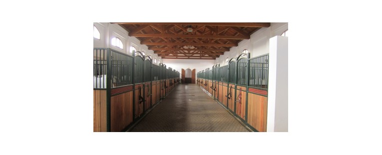 Las Medidas Estándar de una Cuadra de Caballos