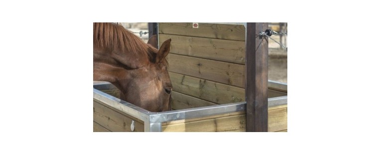 Comederos de Caballos: Indispensables para su Alimentación