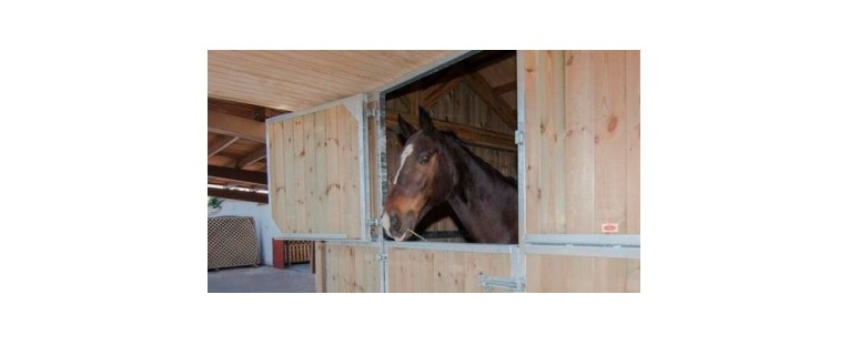 ¿Cómo Desinfectar el Box y la Cuadra de Tu Caballo?