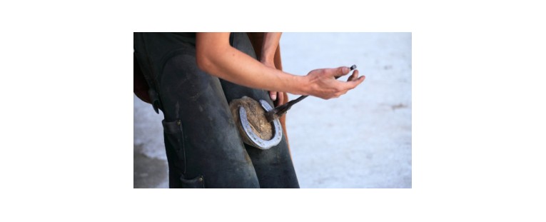 ¿Por Qué se Hierran a los Caballos?