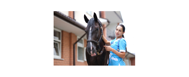 Descubre Cómo Desparasitar Caballos de Forma Sencilla