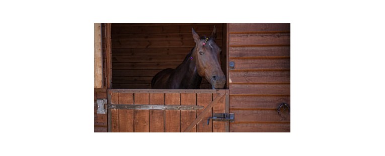 Puertas Para Cuadras de Caballos: Lo Que Debería Tener en Cuenta
