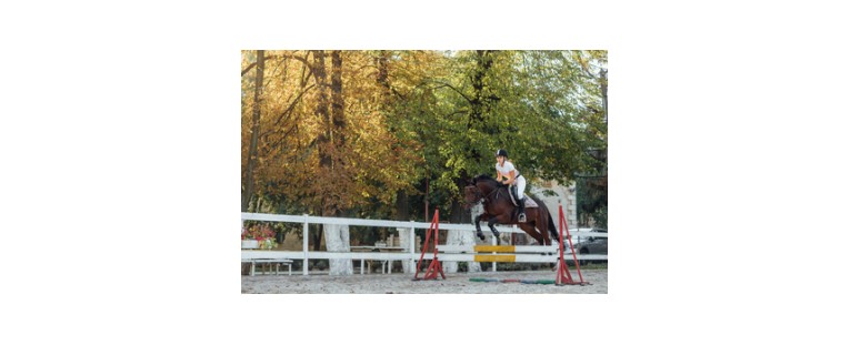 Los juegos de saltos de obstáculos para caballos más efectivos