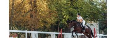 Los juegos de saltos de obstáculos para caballos más efectivos