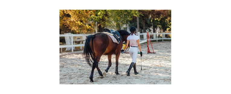 Planta Ornamentales Para Saltos De Obstáculos