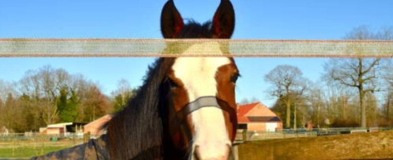 Cuidados Vallado Eléctrico