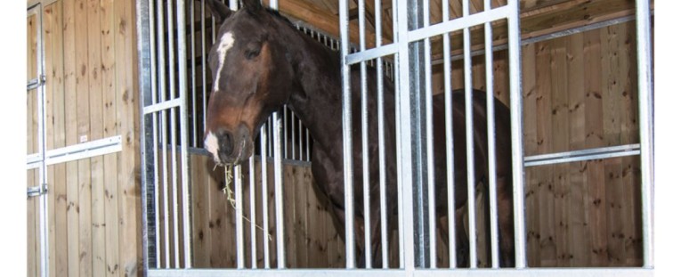 Nuevos Boxes en Le Galop