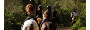 Paseos a Caballo: Consejos, Monturas y Todo lo que Necesitas para Disfrutar la Ruta Perfecta