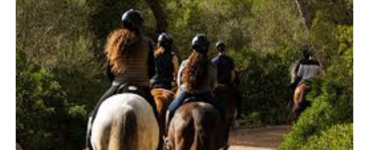 Paseos a Caballo: Consejos, Monturas y Todo lo que Necesitas para Disfrutar la Ruta Perfecta