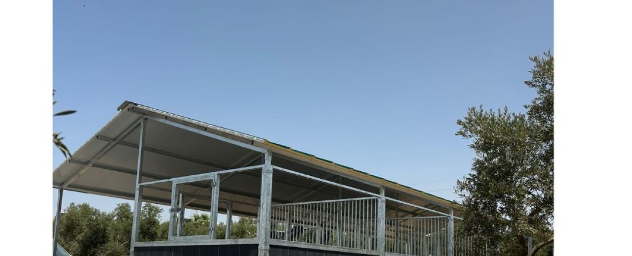 Proyecto boxes New Market en Sevilla