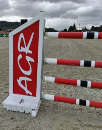 Obstáculos de competición